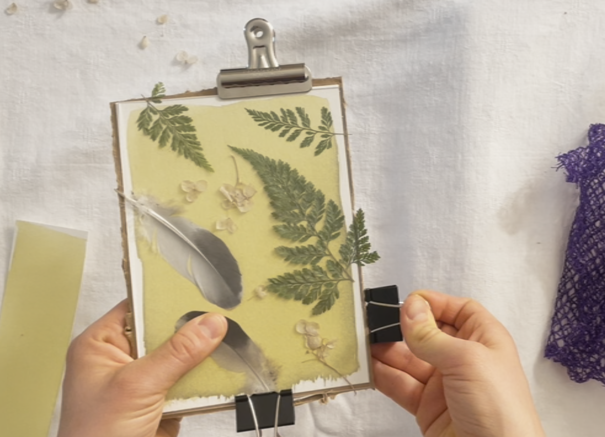 DIY CYANOTYPE KIT