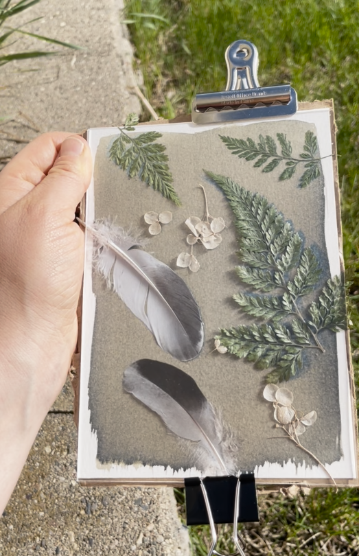 DIY CYANOTYPE KIT