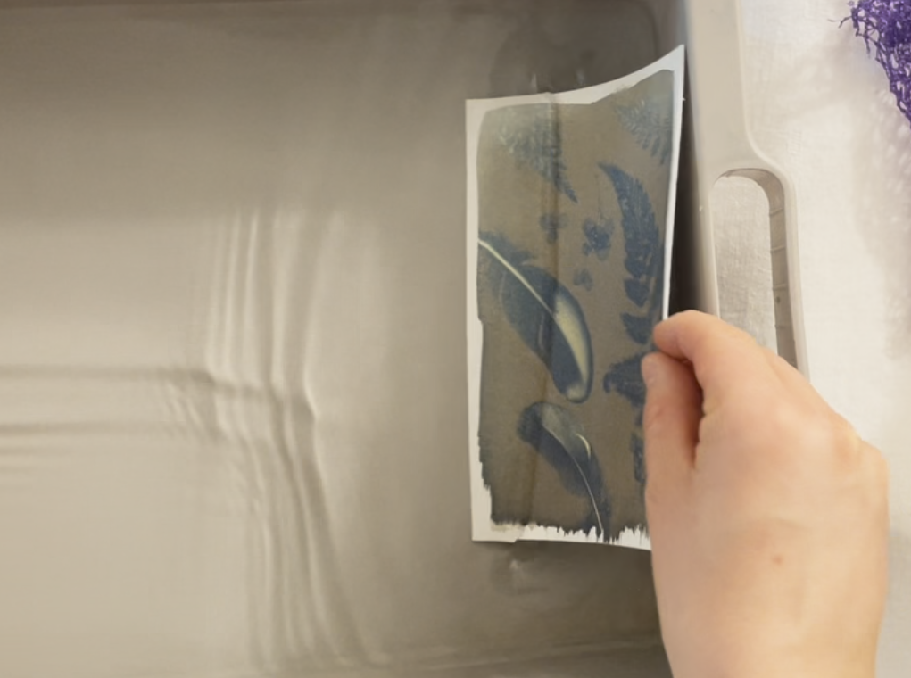 DIY CYANOTYPE KIT