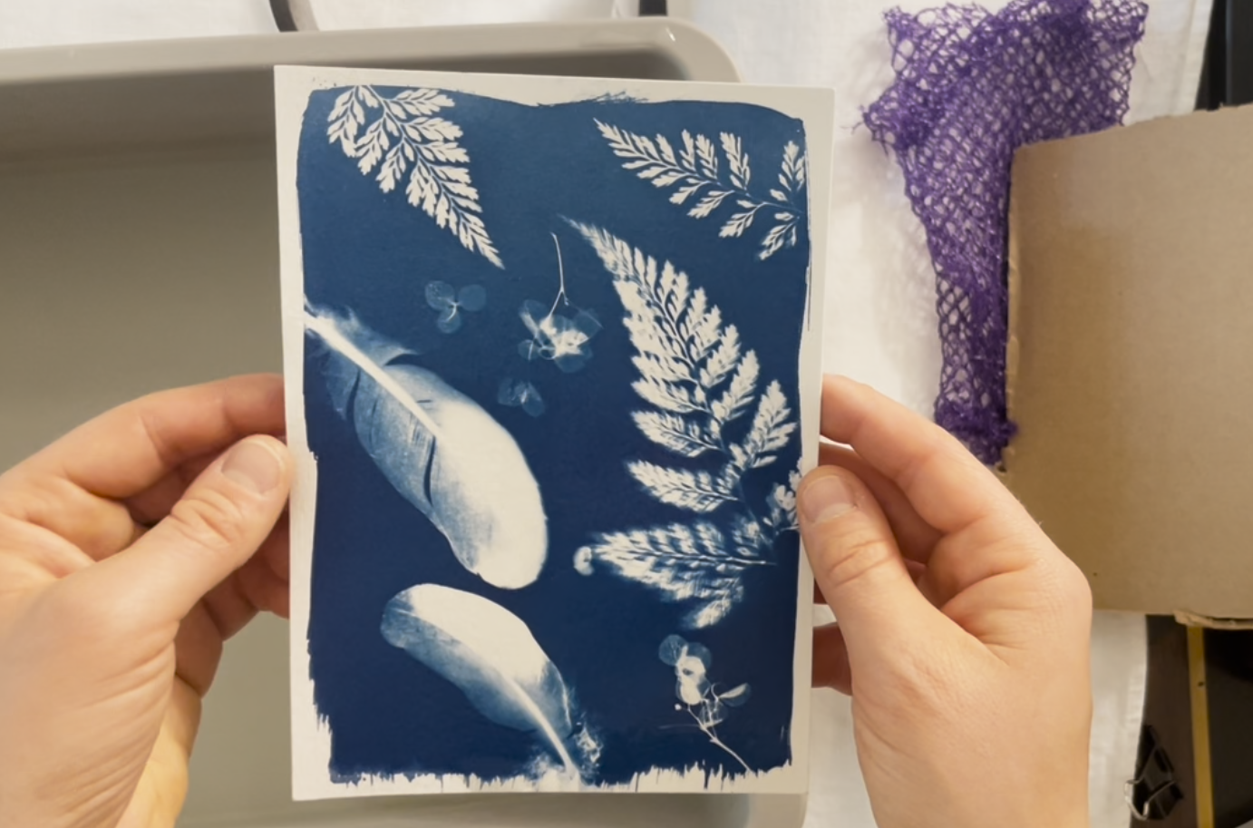 DIY CYANOTYPE KIT