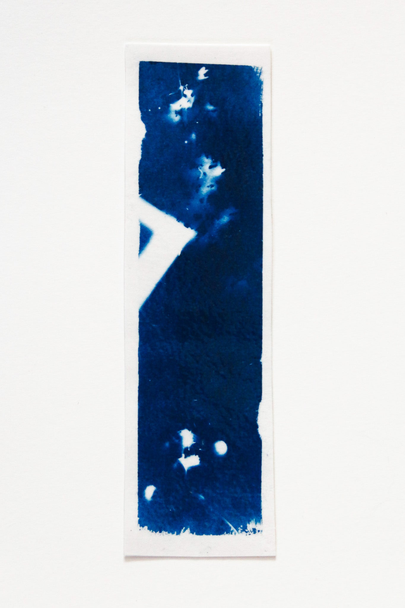 HANDMADE CYANOTYPE BOOKMARKS -  NATURE