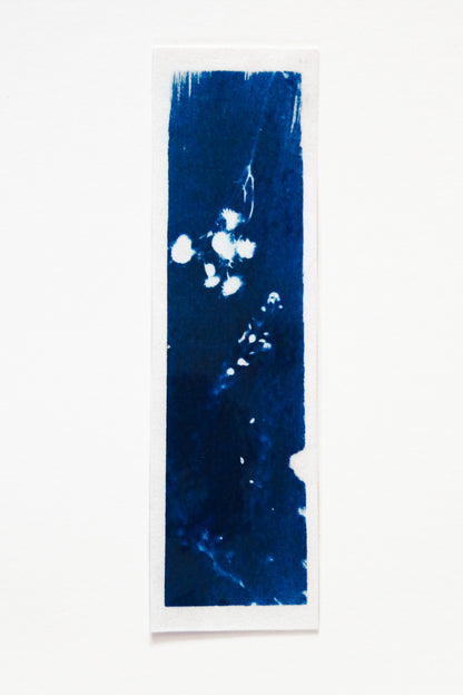 HANDMADE CYANOTYPE BOOKMARKS -  NATURE