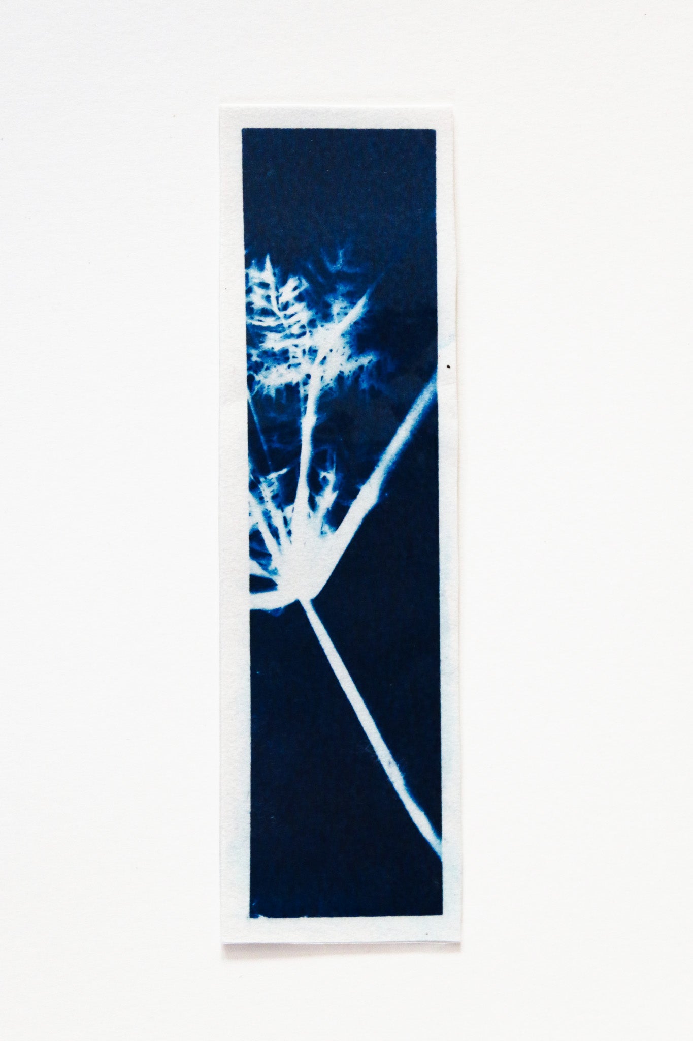 HANDMADE CYANOTYPE BOOKMARKS -  NATURE