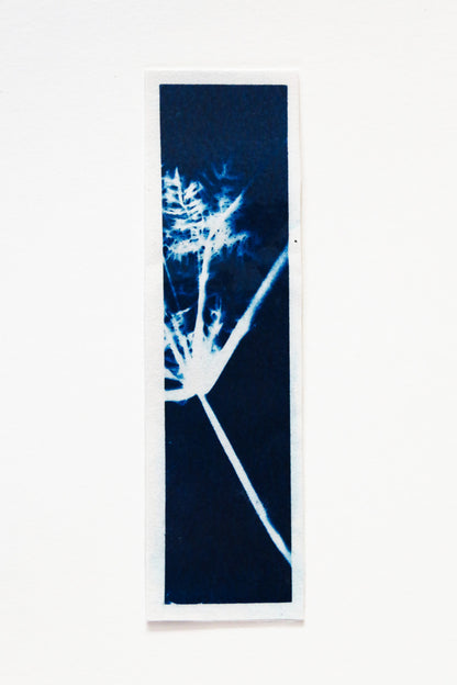 HANDMADE CYANOTYPE BOOKMARKS -  NATURE