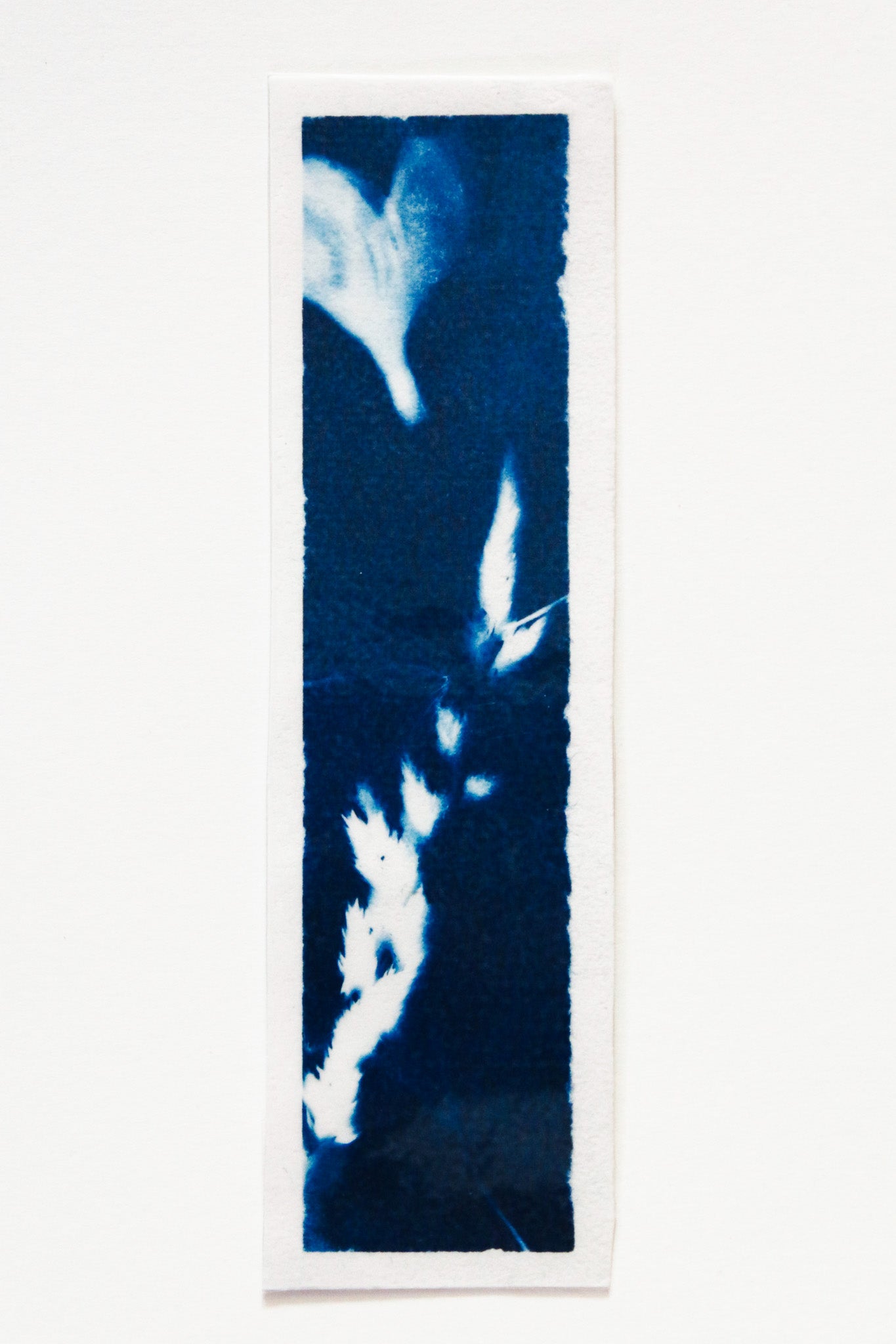 HANDMADE CYANOTYPE BOOKMARKS -  NATURE