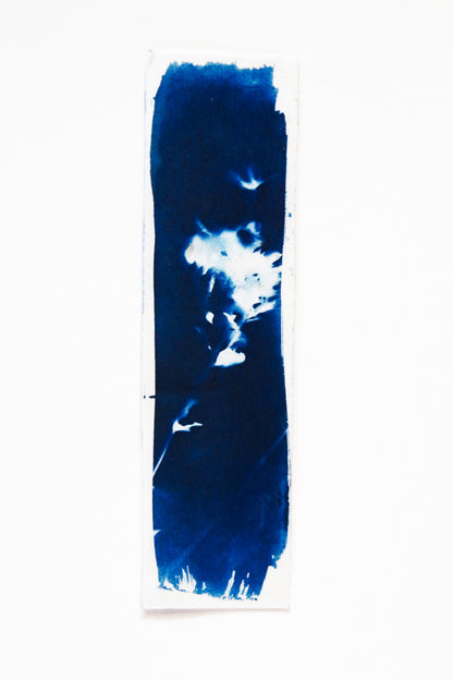 HANDMADE CYANOTYPE BOOKMARKS -  NATURE