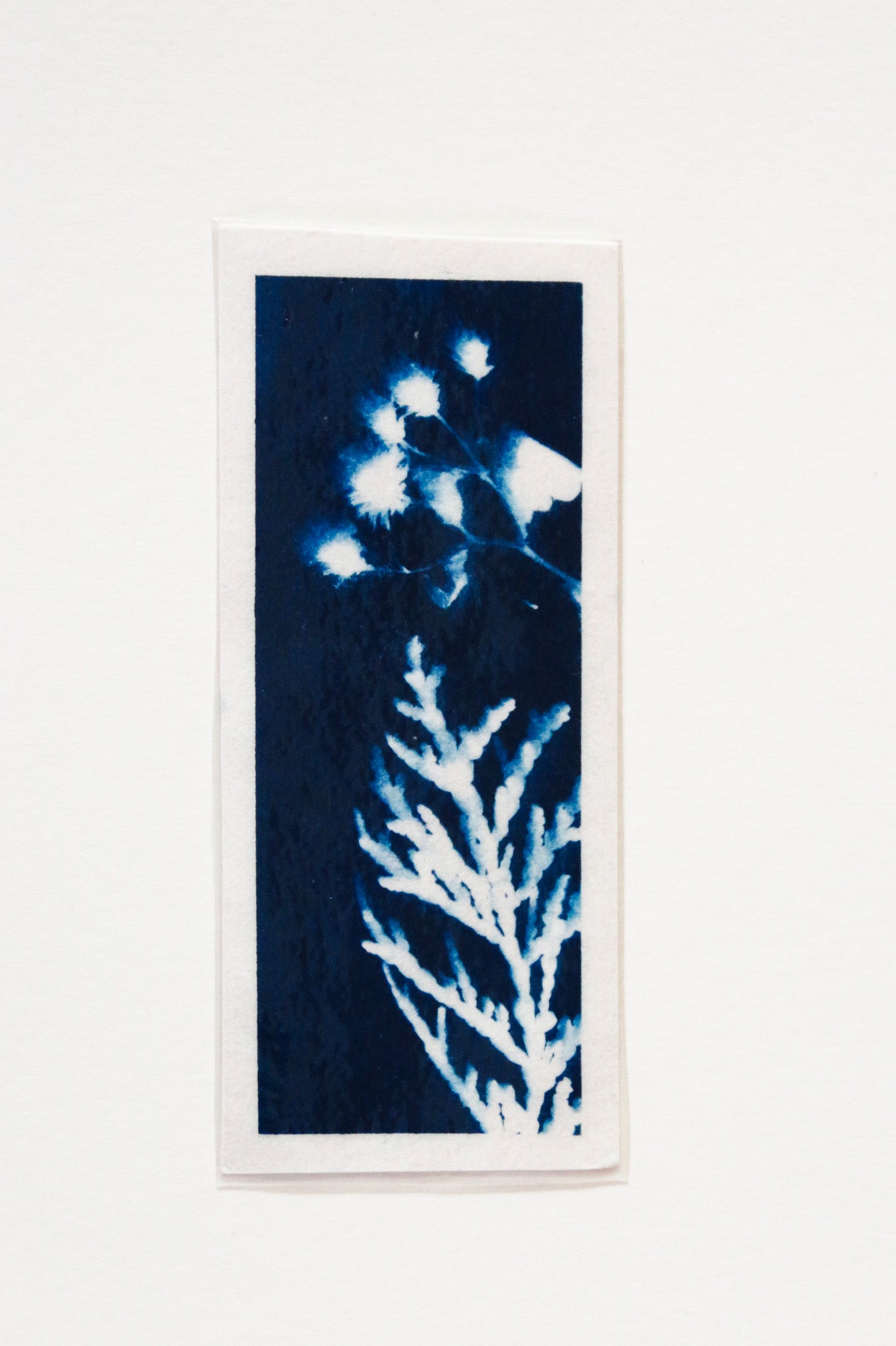 HANDMADE CYANOTYPE BOOKMARKS -  NATURE