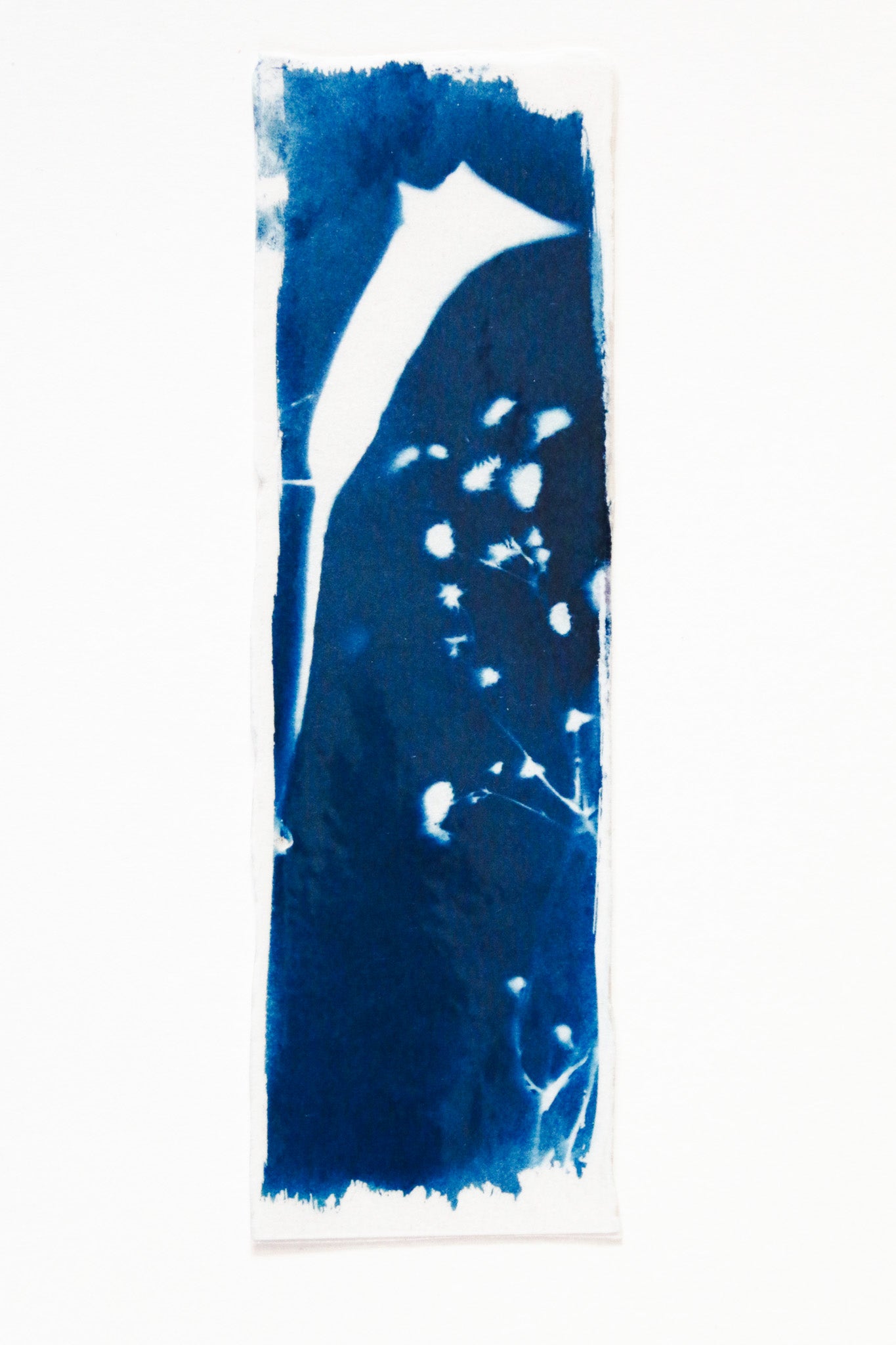 HANDMADE CYANOTYPE BOOKMARKS -  NATURE