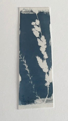 HANDMADE CYANOTYPE BOOKMARKS -  NATURE