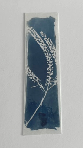 HANDMADE CYANOTYPE BOOKMARKS -  NATURE