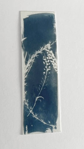 HANDMADE CYANOTYPE BOOKMARKS -  NATURE