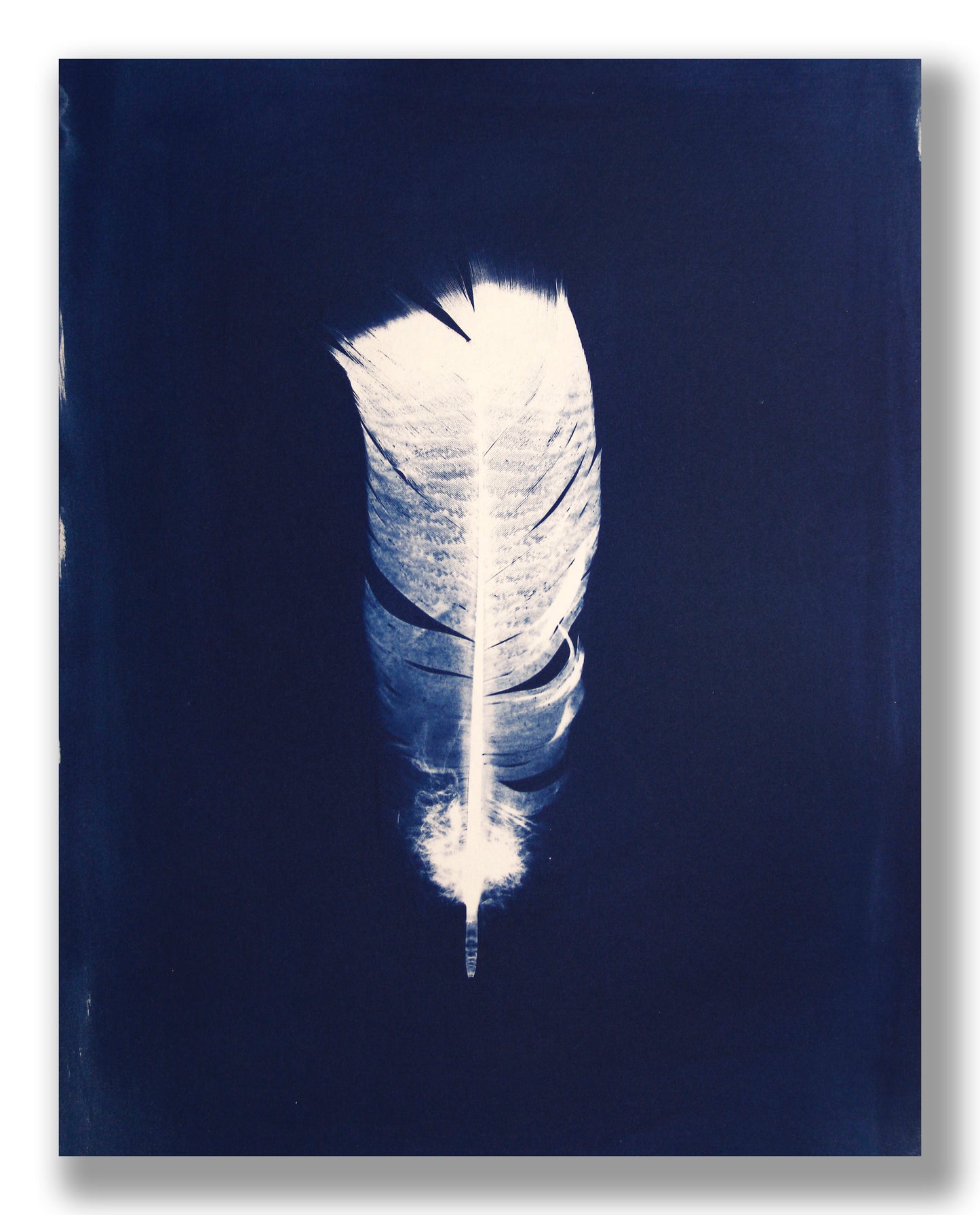 "LIGHT, AS A FEATHER" FINE ART PRINT