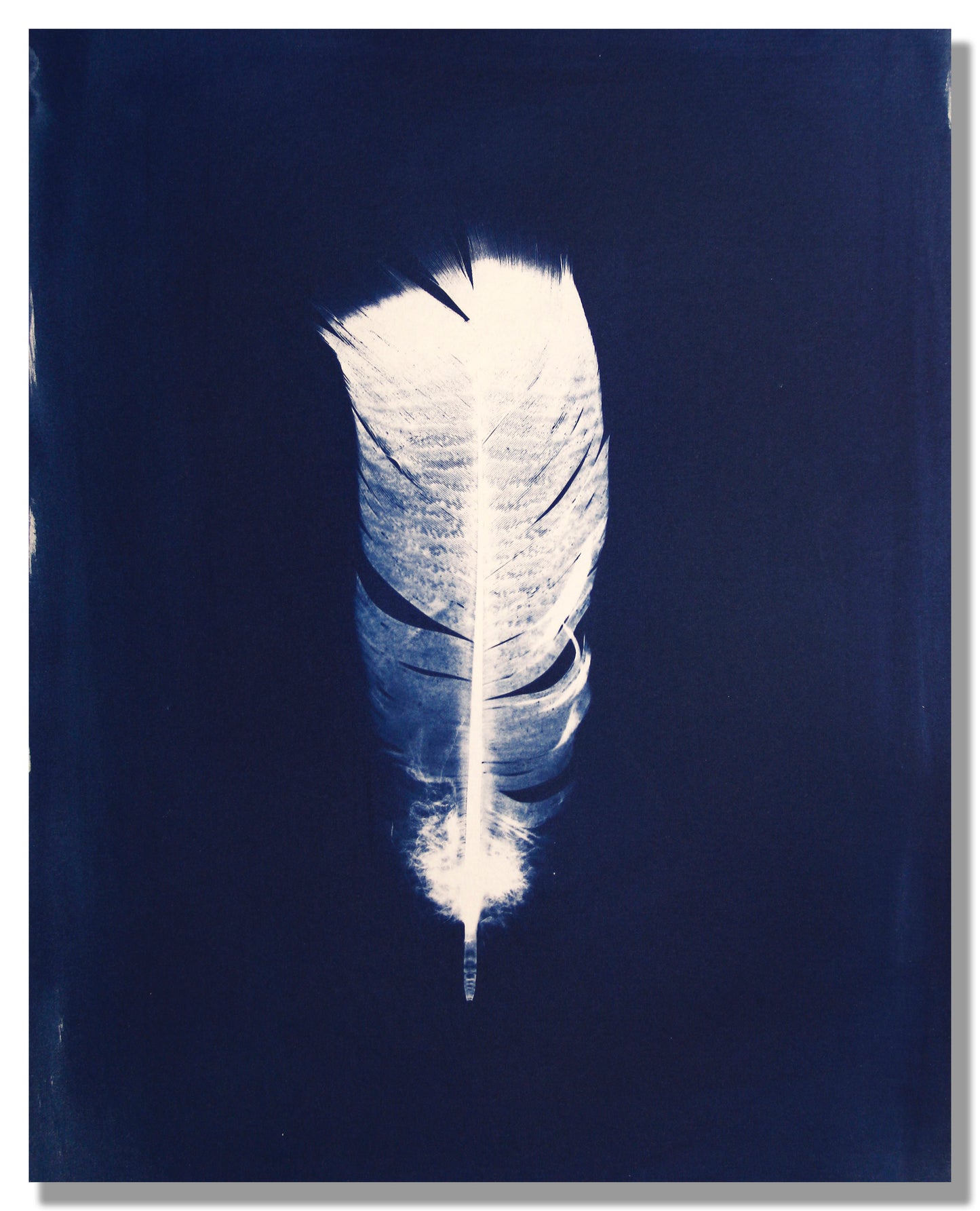 "LIGHT, AS A FEATHER" FINE ART PRINT