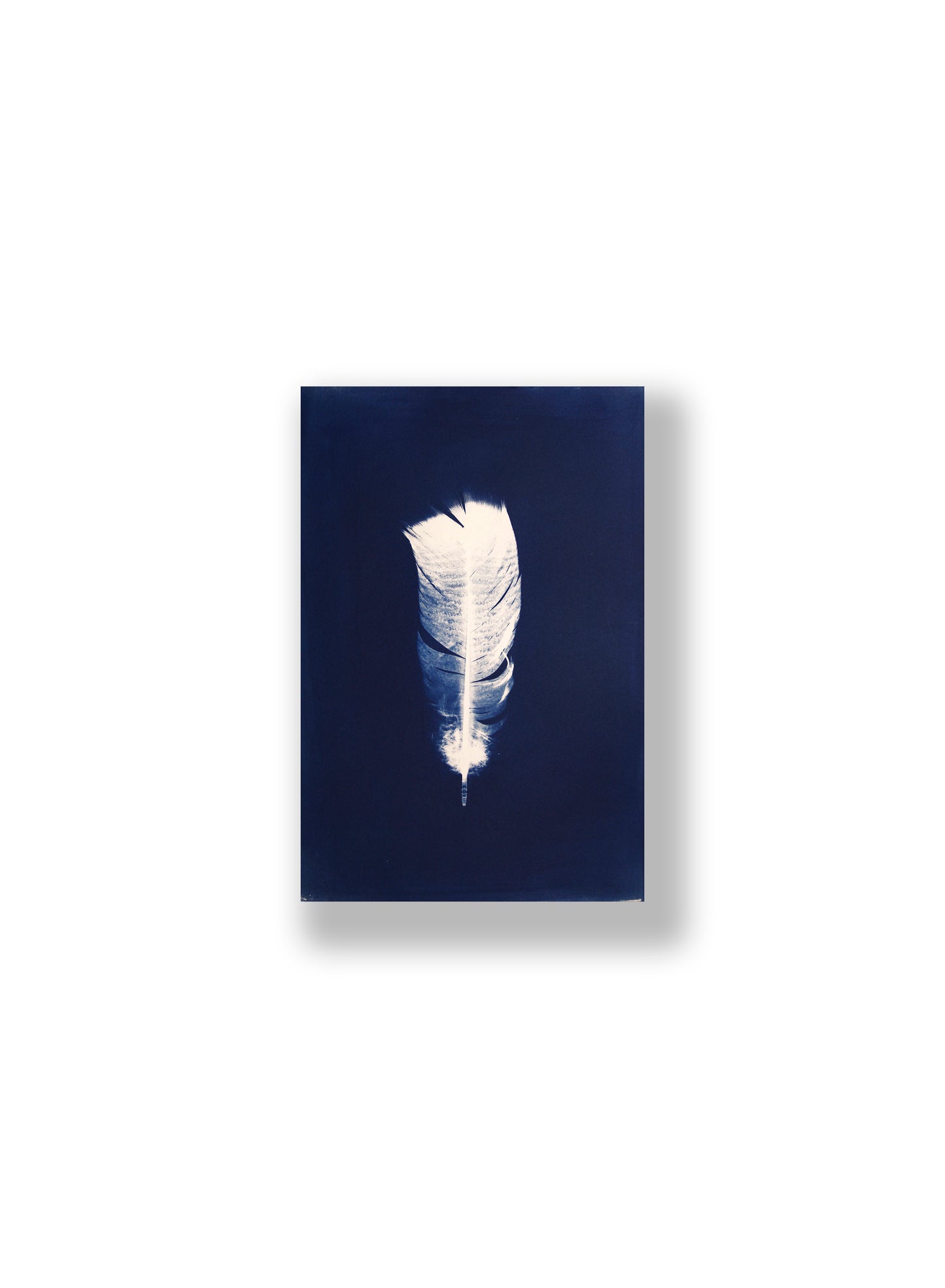 "LIGHT, AS A FEATHER" FINE ART PRINT