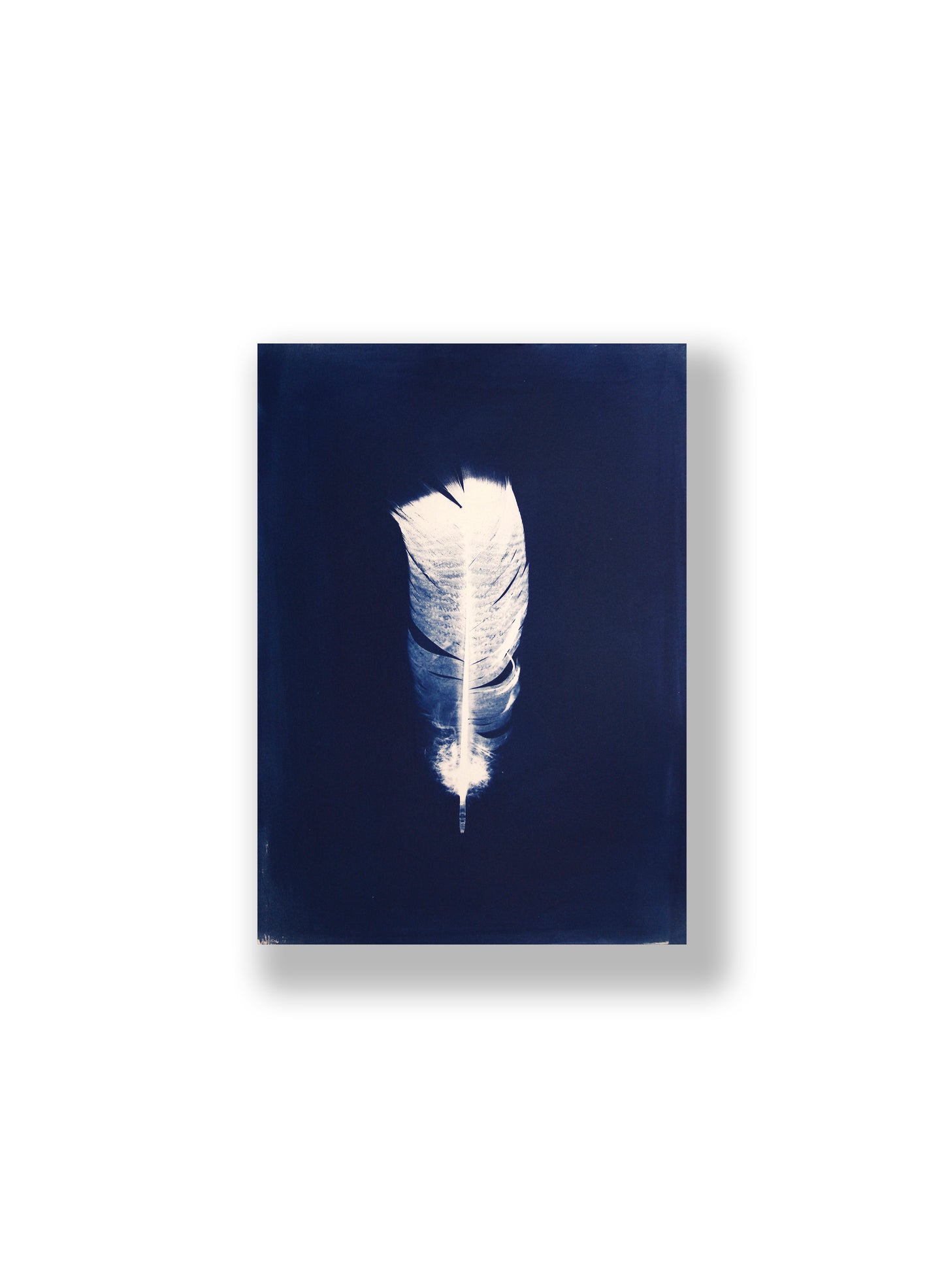 "LIGHT, AS A FEATHER" FINE ART PRINT