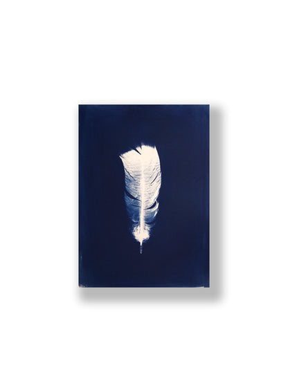 "LIGHT, AS A FEATHER" FINE ART PRINT