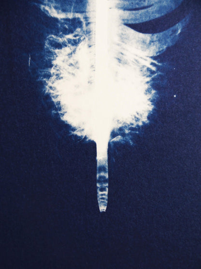 "LIGHT, AS A FEATHER" FINE ART PRINT - MintzMakesMintzMakes