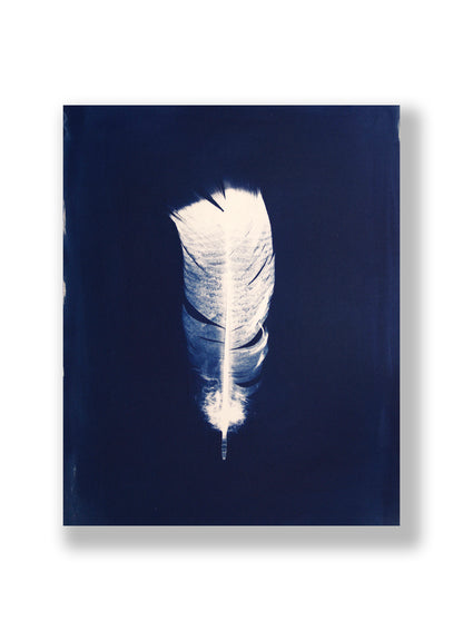 "LIGHT, AS A FEATHER" FINE ART PRINT