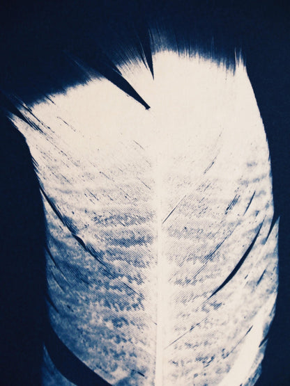"LIGHT, AS A FEATHER" FINE ART PRINT - MintzMakesMintzMakes