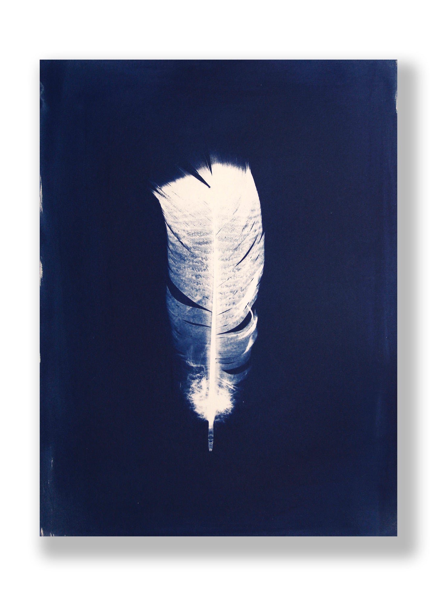 "LIGHT, AS A FEATHER" FINE ART PRINT