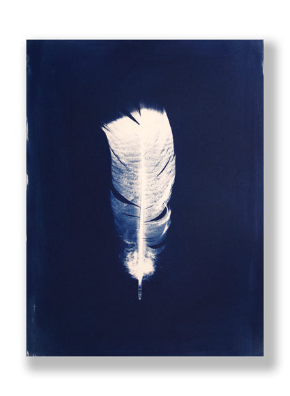 "LIGHT, AS A FEATHER" FINE ART PRINT