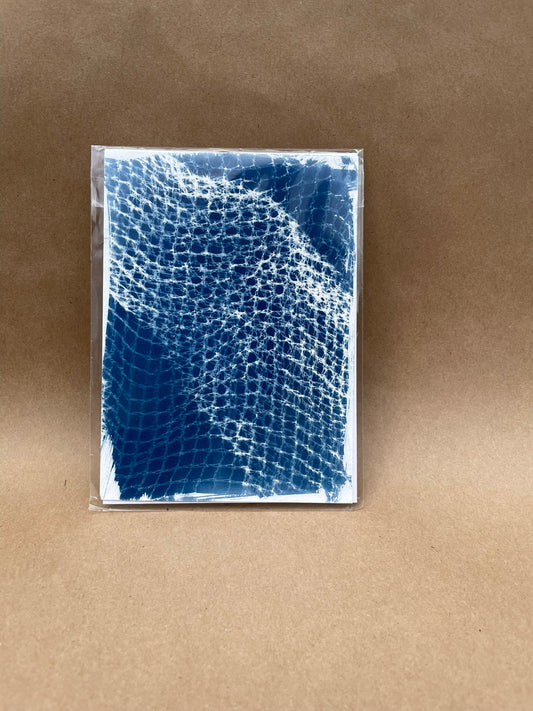 5"x7" CYANOTYPE PRINTS