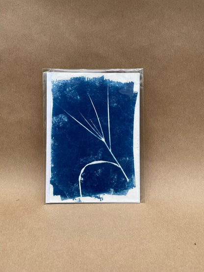 5"x7" CYANOTYPE PRINTS