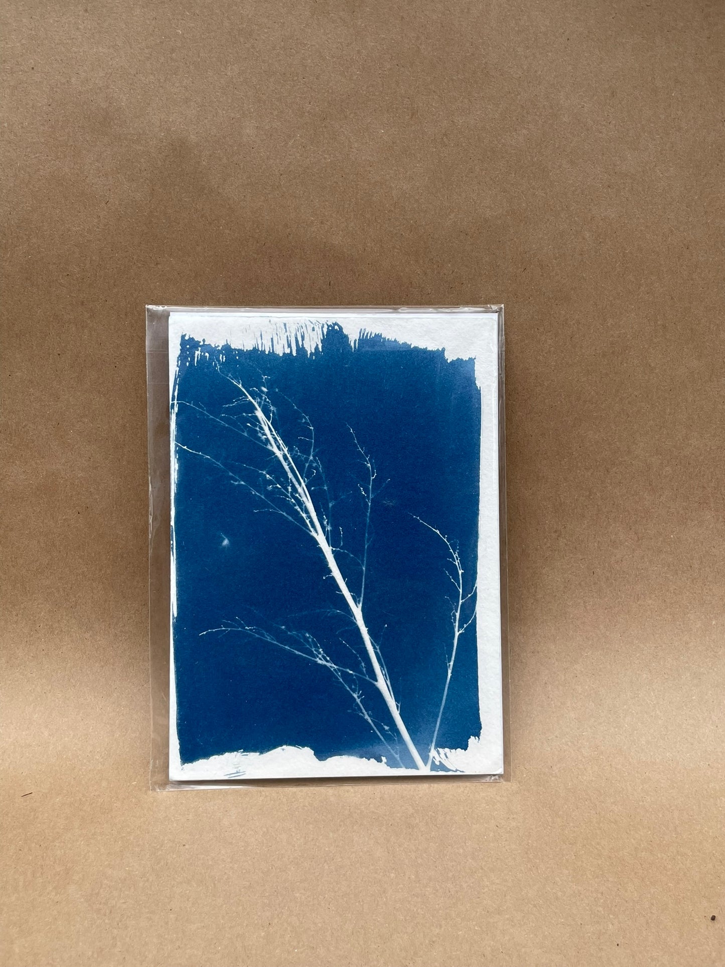 5"x7" CYANOTYPE PRINTS