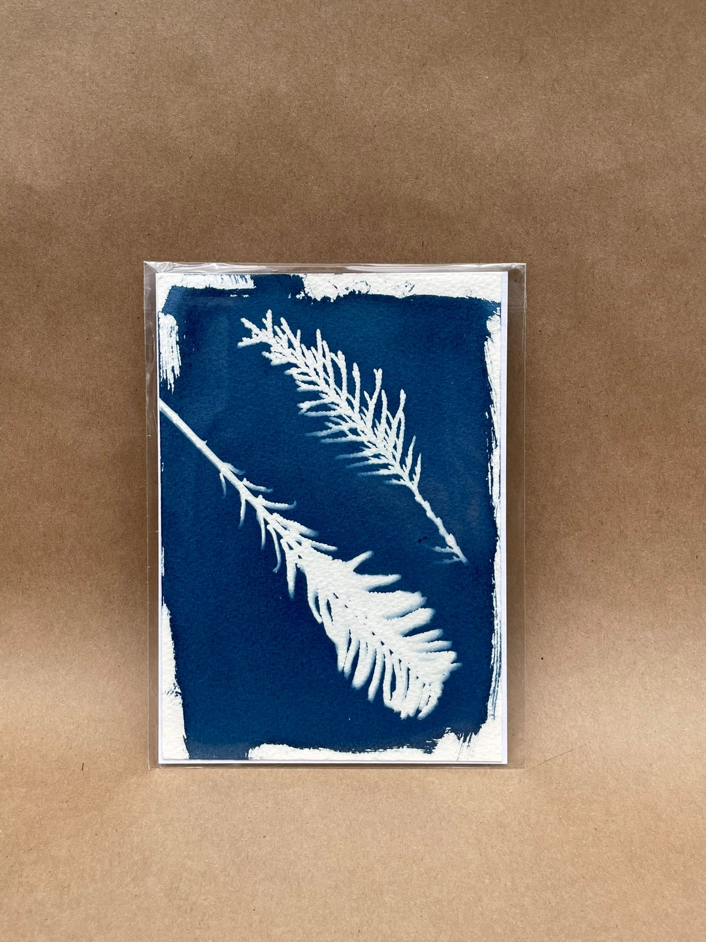 5"x7" CYANOTYPE PRINTS