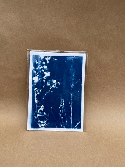 5"x7" CYANOTYPE PRINTS