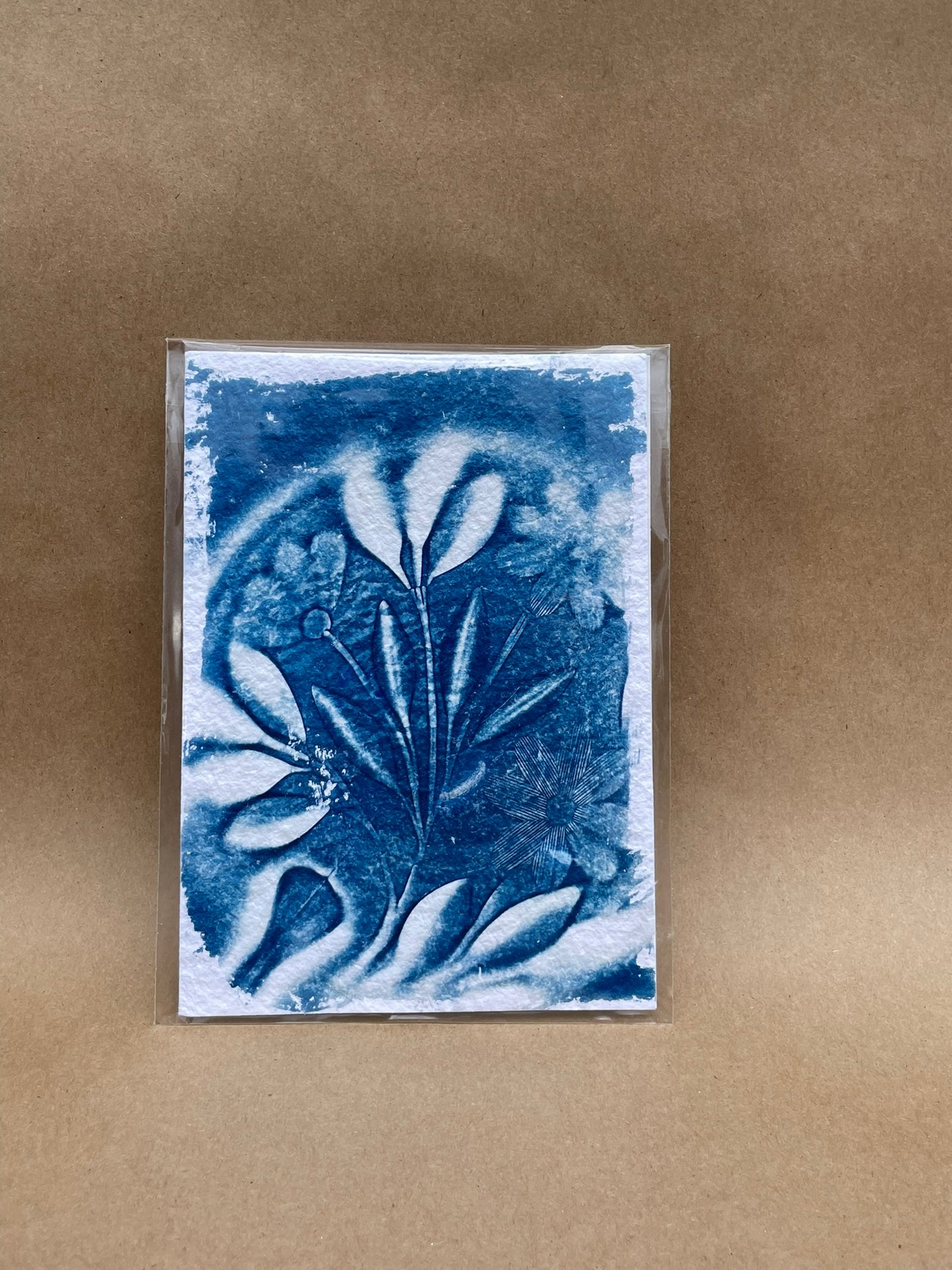 5"x7" CYANOTYPE PRINTS