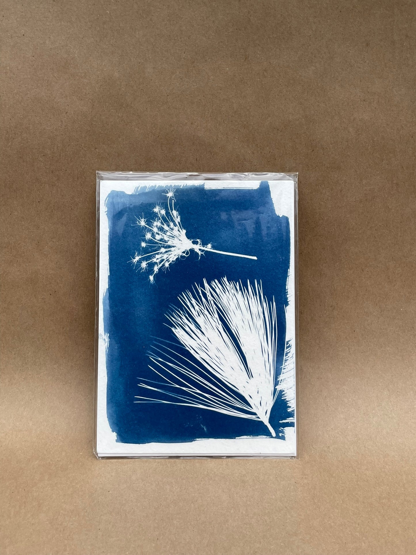 5"x7" CYANOTYPE PRINTS