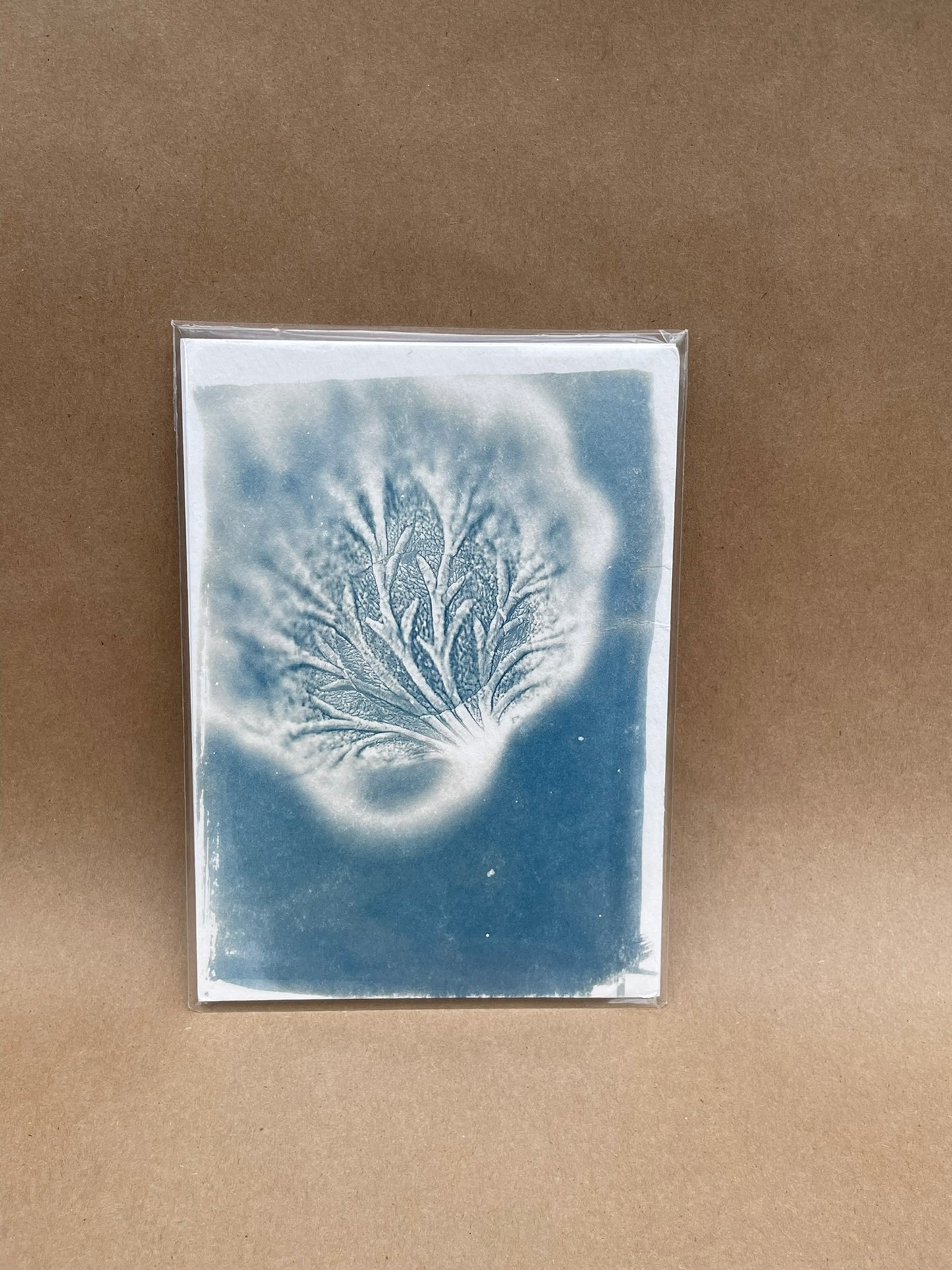 5"x7" CYANOTYPE PRINTS