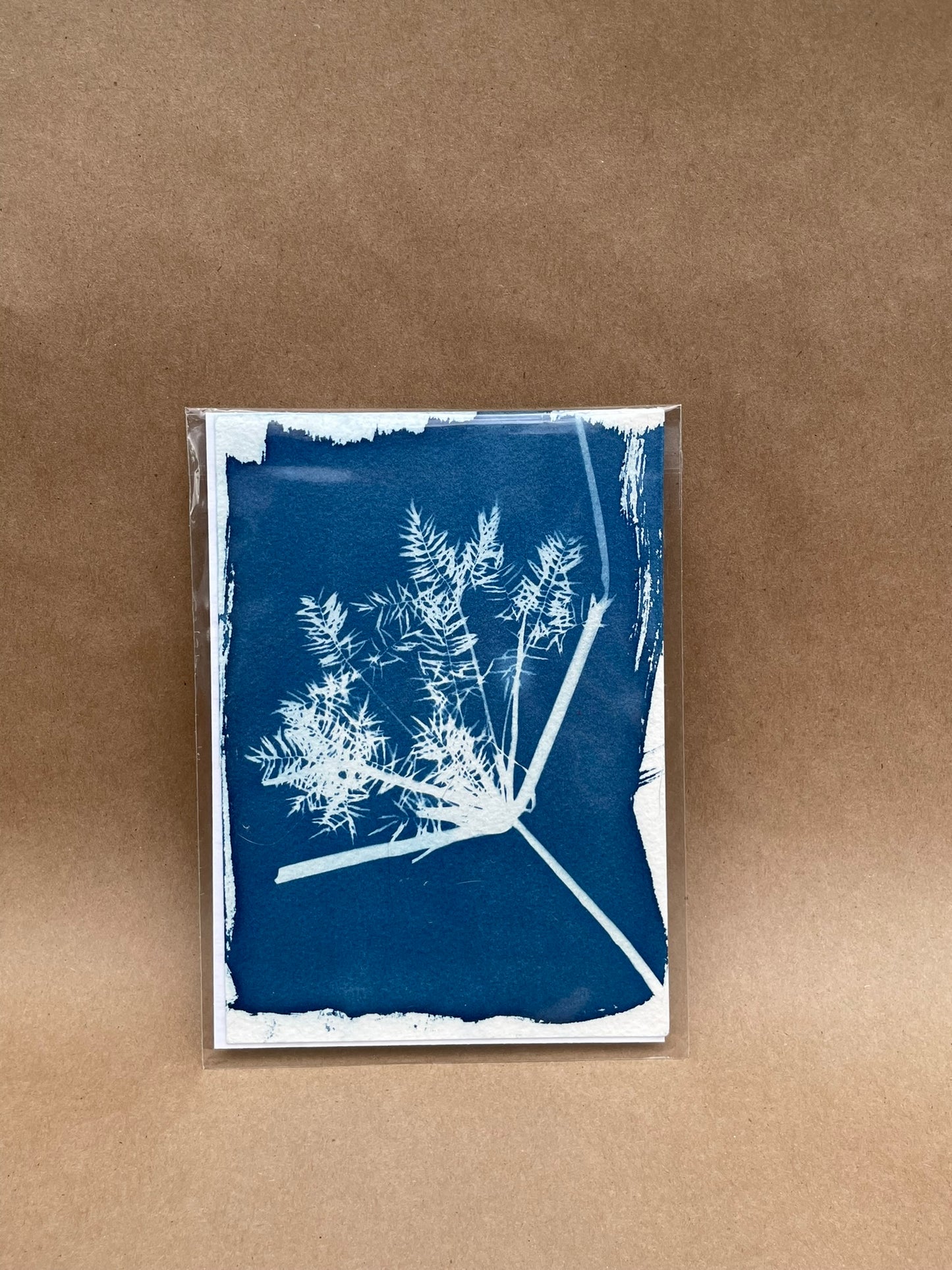 5"x7" CYANOTYPE PRINTS