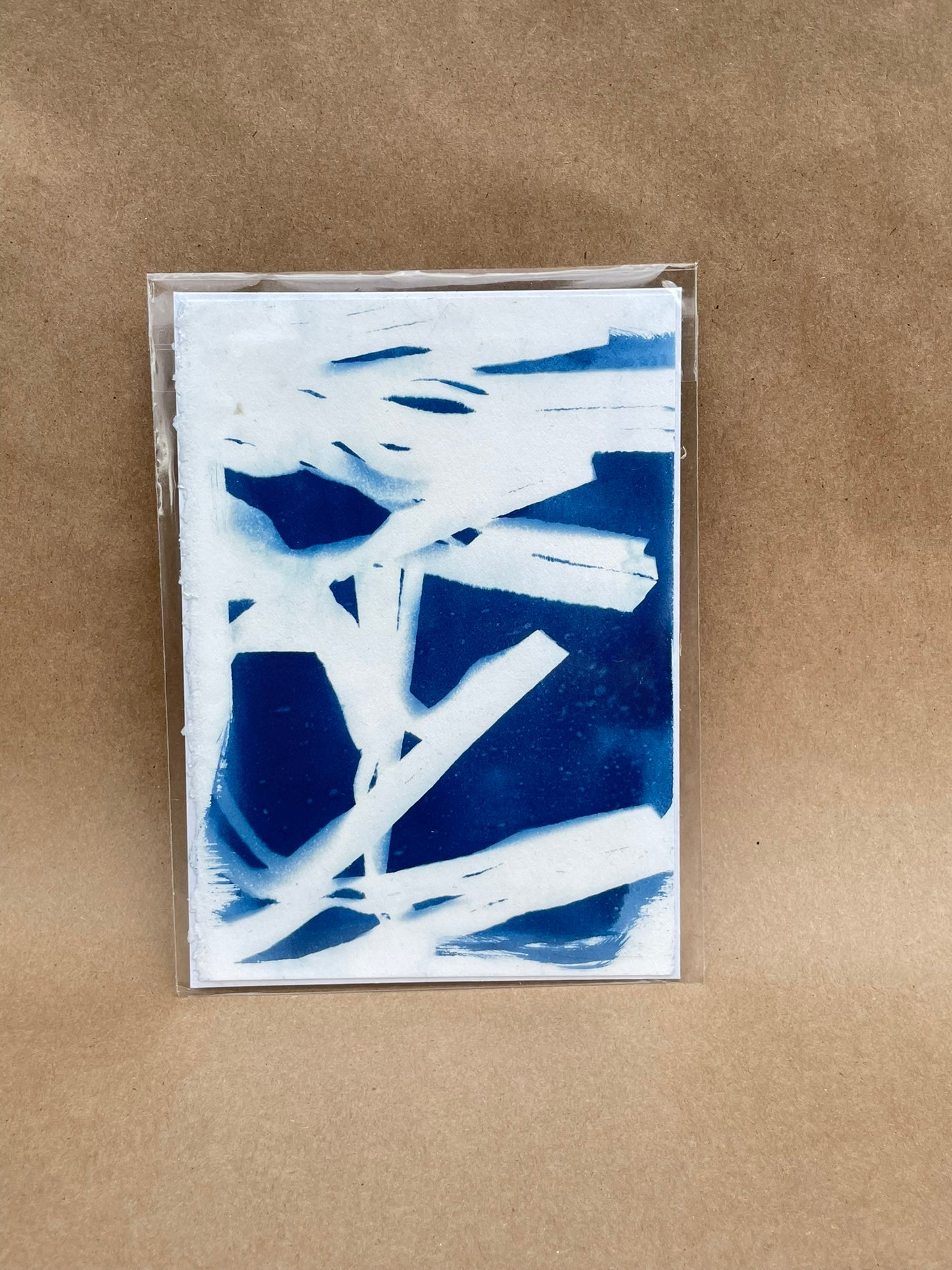 5"x7" CYANOTYPE PRINTS