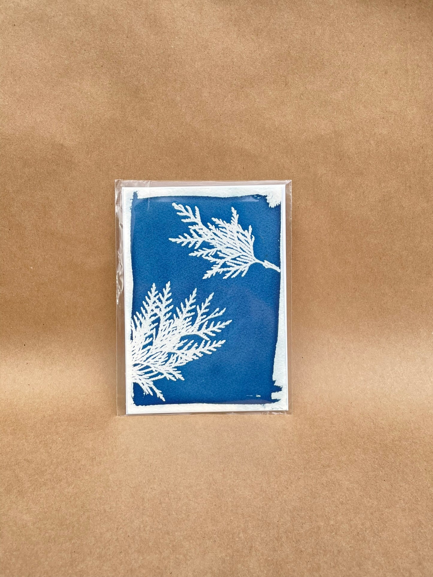 5"x7" CYANOTYPE PRINTS