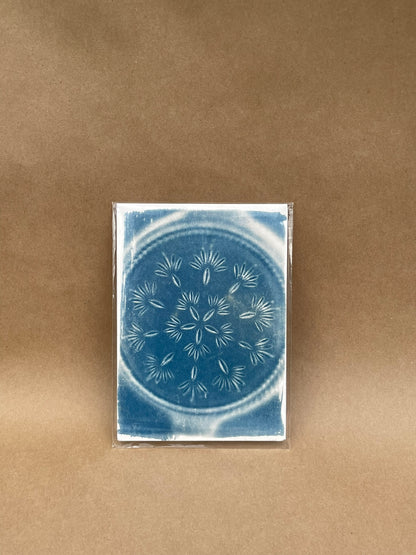 5"x7" CYANOTYPE PRINTS