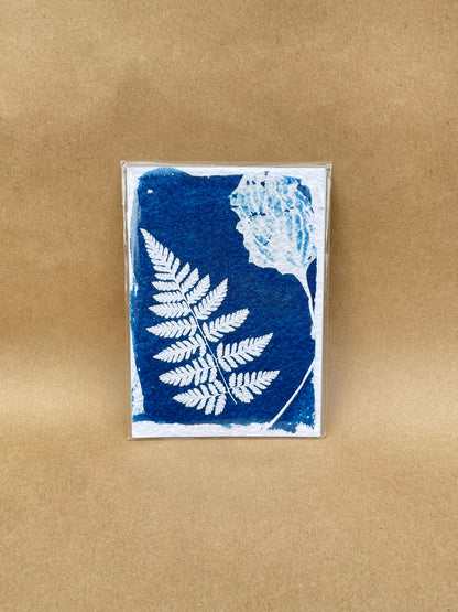 5"x7" CYANOTYPE PRINTS