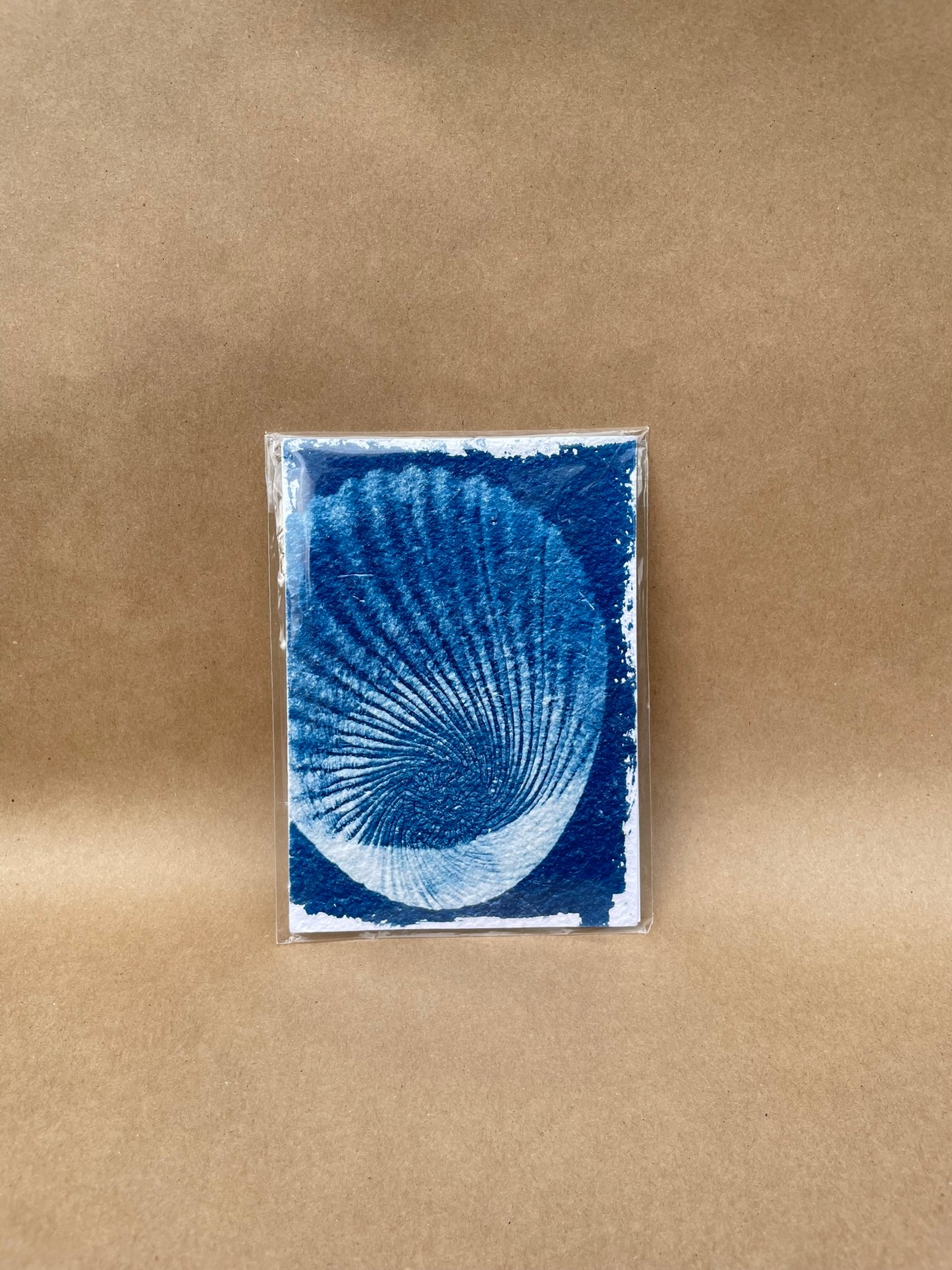 5"x7" CYANOTYPE PRINTS