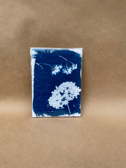 5"x7" CYANOTYPE PRINTS