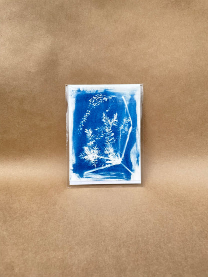 5"x7" CYANOTYPE PRINTS