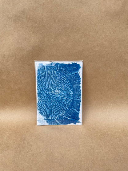 5"x7" CYANOTYPE PRINTS