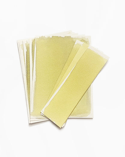 DIY CYANOTYPE KIT