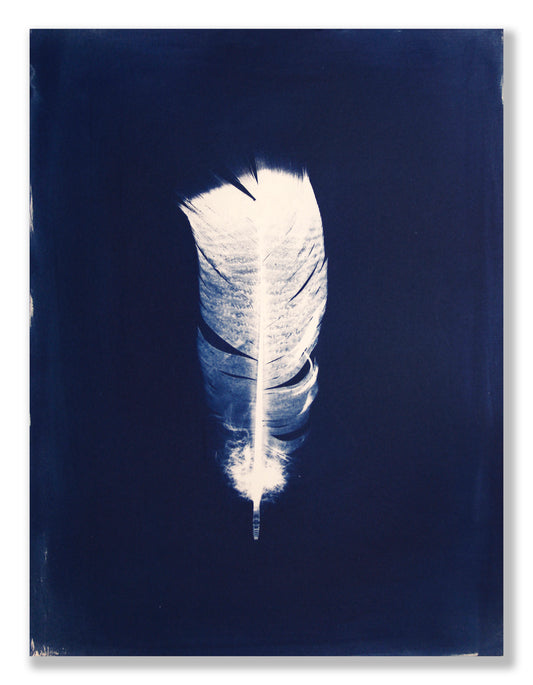 "LIGHT, AS A FEATHER" FINE ART PRINT