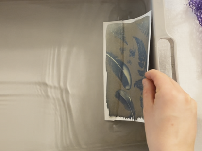 DIY CYANOTYPE KIT